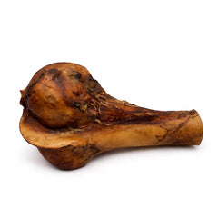 Canadian beef Dino Bone Club natural dog chew