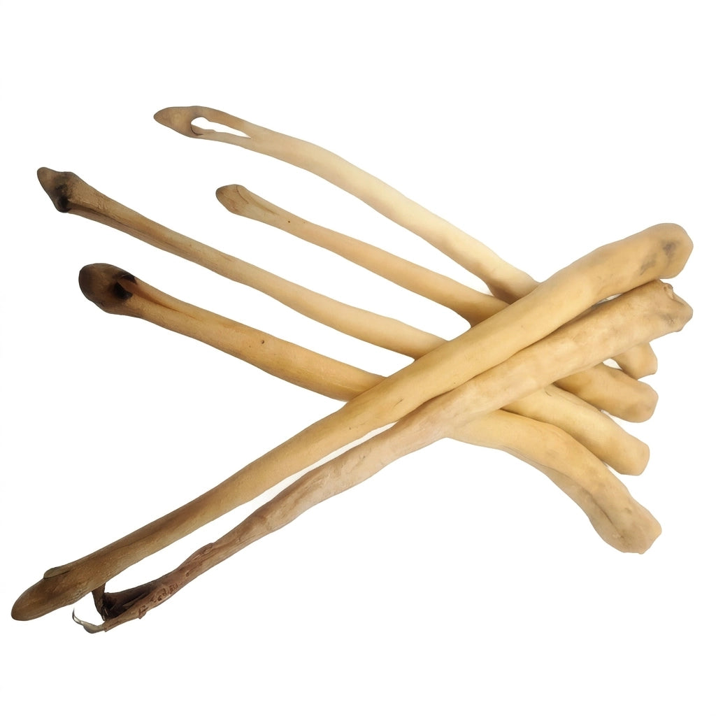 Bundle of ox tail dog chews – single-ingredient chews for long-lasting chewing