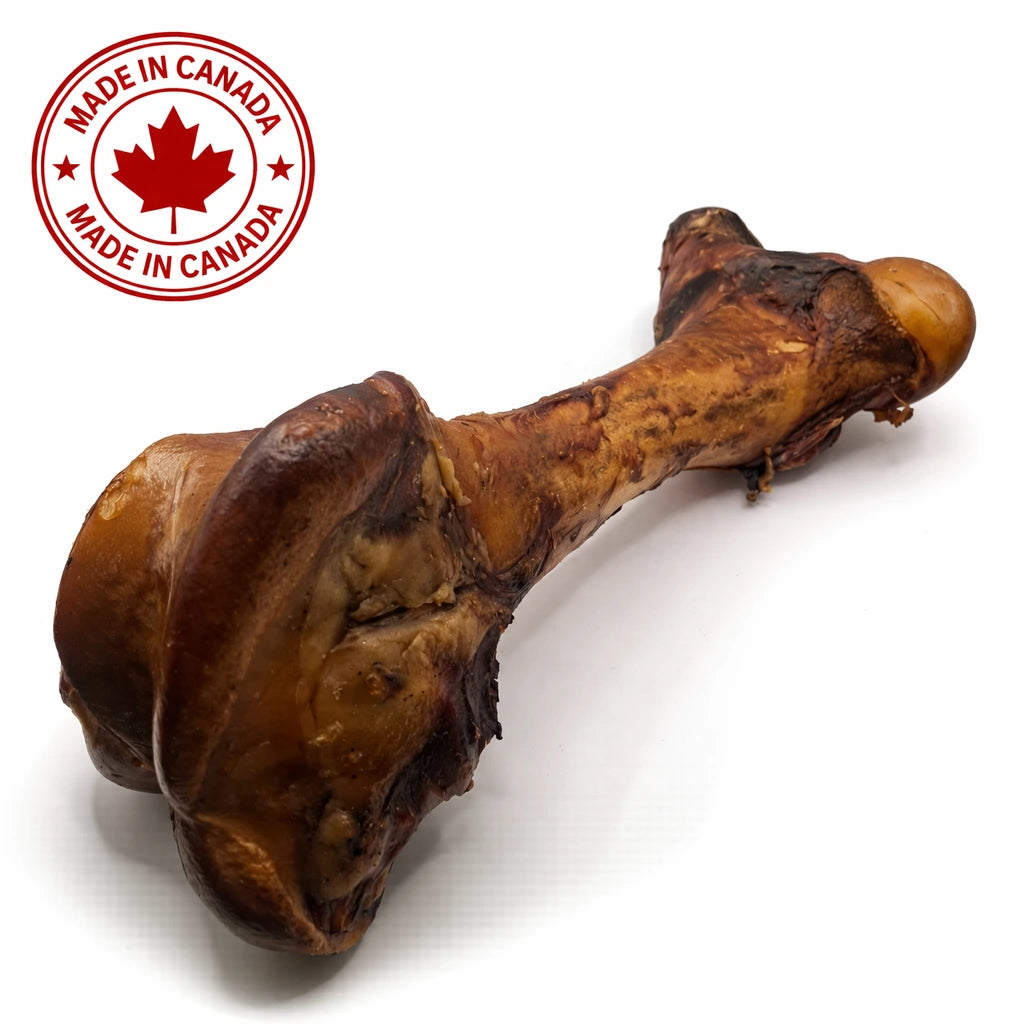 Smoked jumbo Canadian beef Dino Bone dog chew
