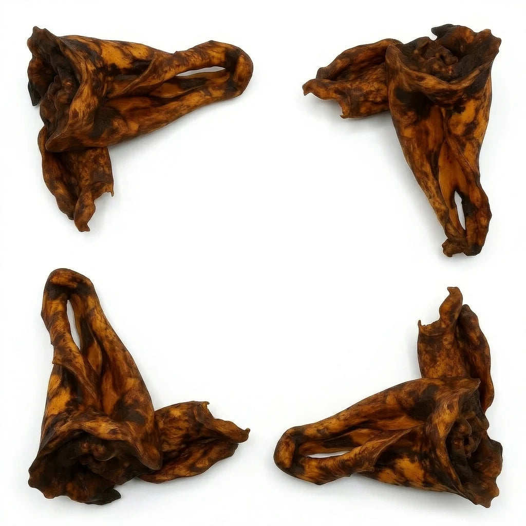 Bundle of liver glazed beef ears – natural dog chews with added flavour