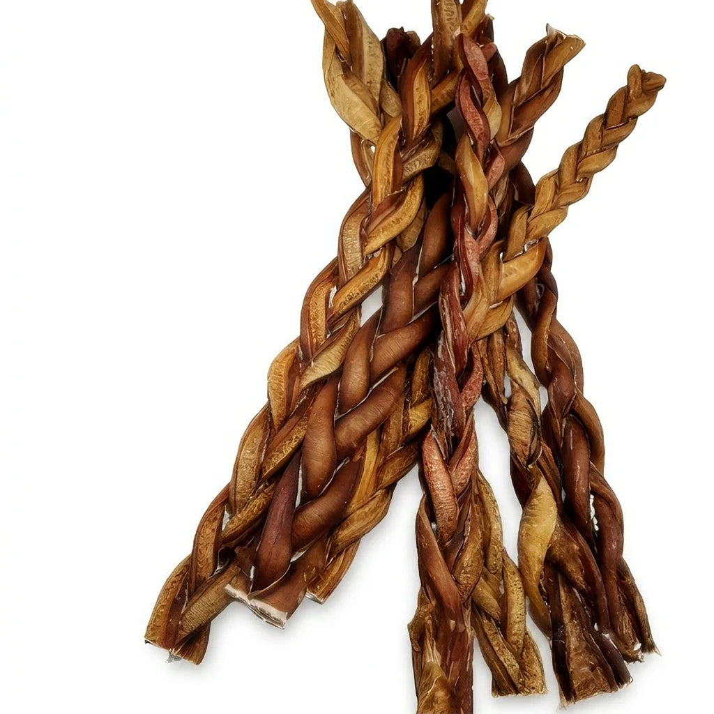 Low odour 12 inch thick braided bully stick for dogs – long-lasting natural beef chew