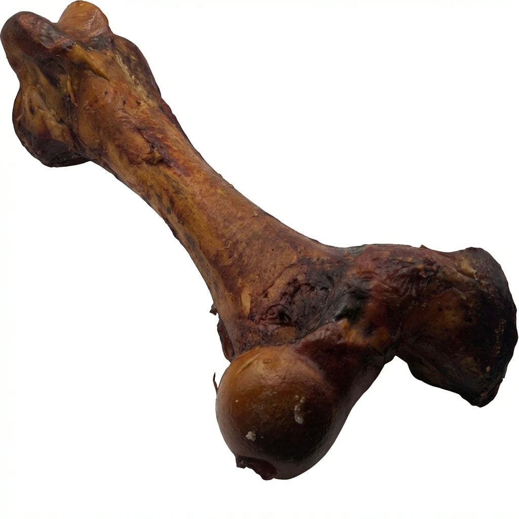 Giant jumbo Dino Bone chew for large dogs