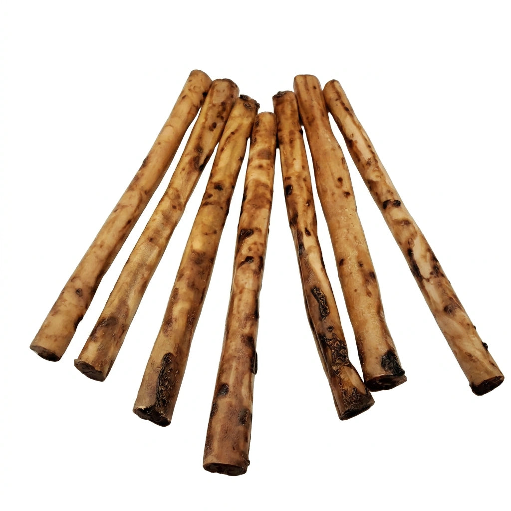 Premium braided collagen chew treat for dogs
