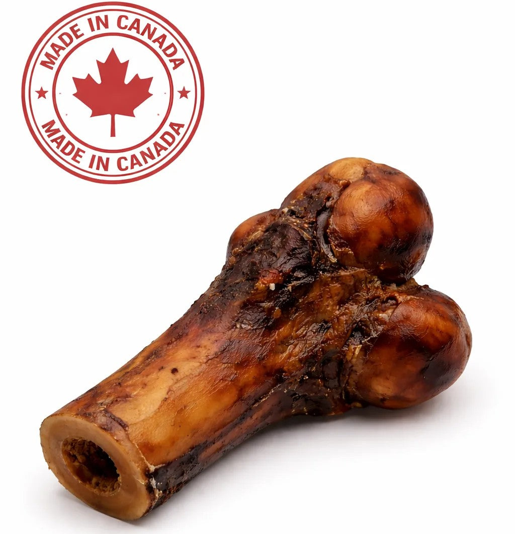 Smoked Canadian beef Dino Bone Club dog chew