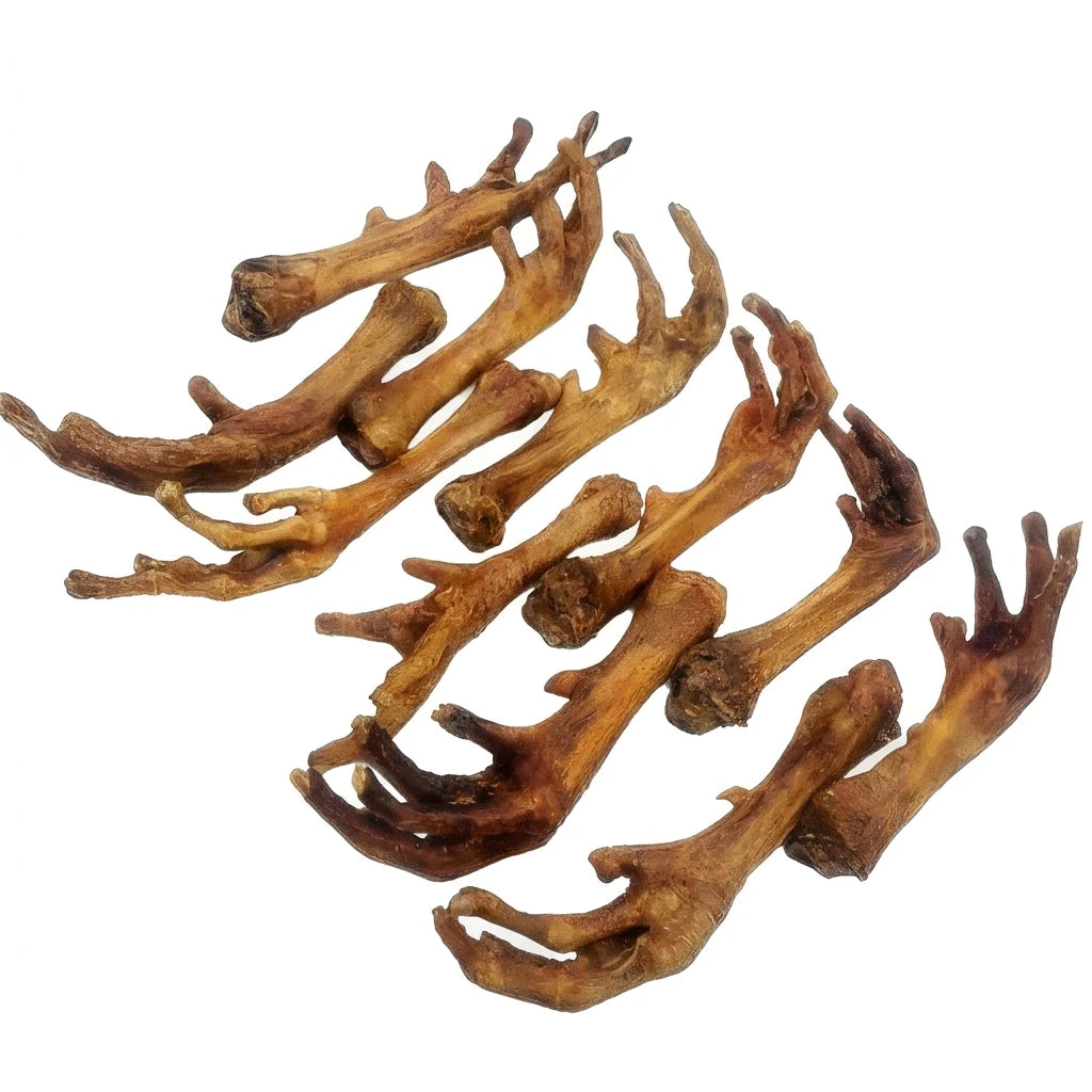 Whole chicken foot dog treat – natural single-ingredient crunchy chew for dogs
