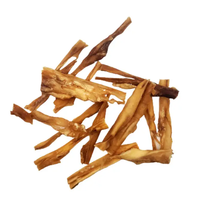 20230312_161517-removebg-preview